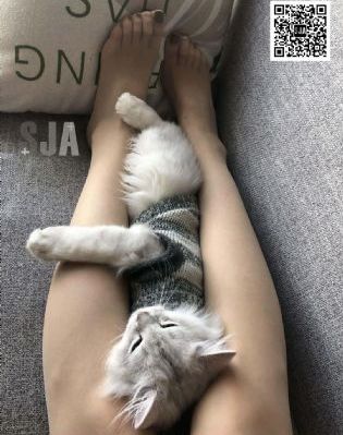 亚洲AV日韩AV高潮潮喷麻豆_DVD在线手机播放