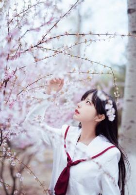9277女生版视频播放软件_BD日本电影免费